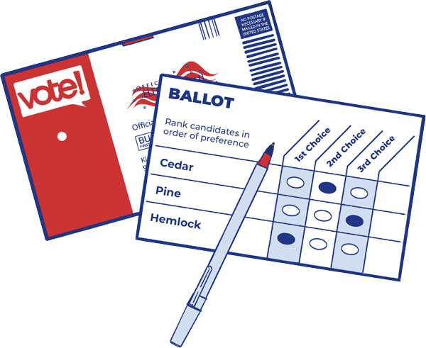 Ranked-choice sample ballot